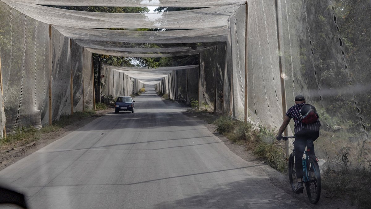 Местный житель едет на велосипеде по дороге с антидроновыми сетками возле линии фронта в Константиновке, Донецкая область, Украина, 16 сентября 2025 года. Фото: Yevhen Titov / EPA