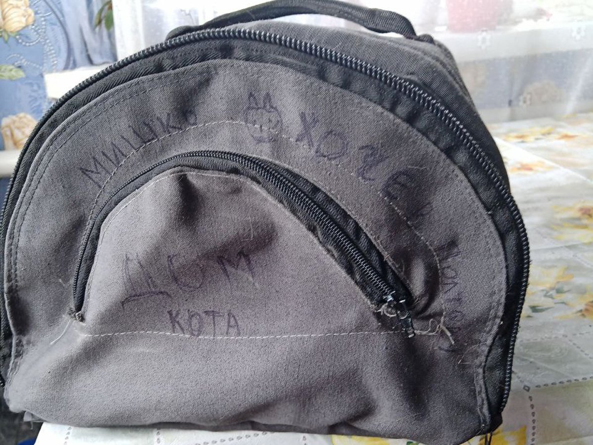 Сумка-переноска кота Мишко. Фото: «Новости Донбасса»