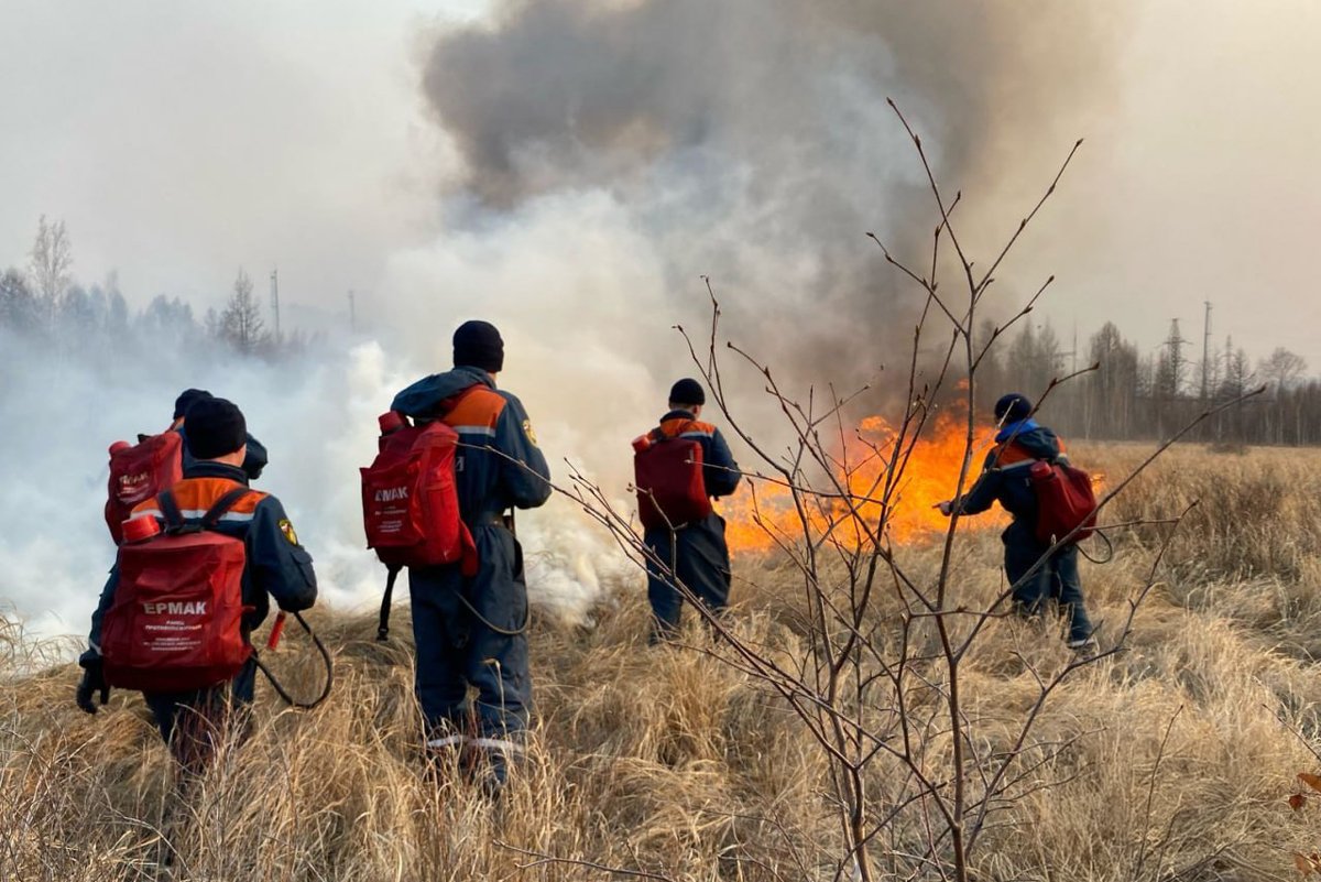 Фото: МЧС Забайкальского края