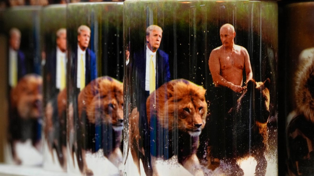 Ястреб под маской голубя