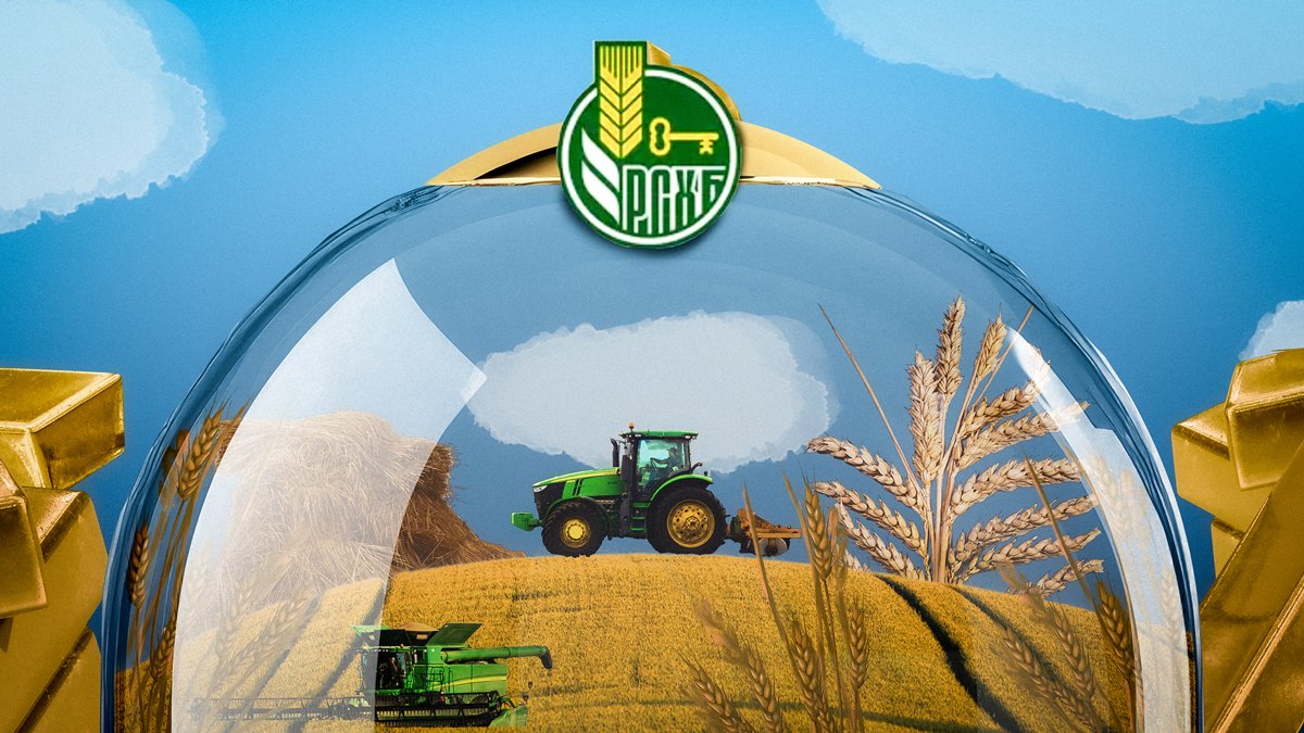 Иллюстрации: «Новая газета Европа»