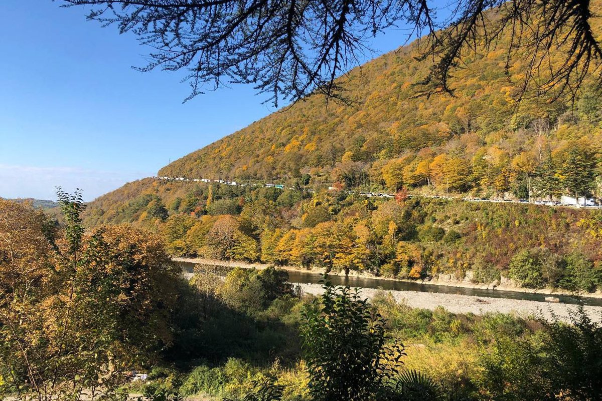 Вид на заблокированную трассу, 12 ноября 2024 года. Фото: АМРА- life / Telegram