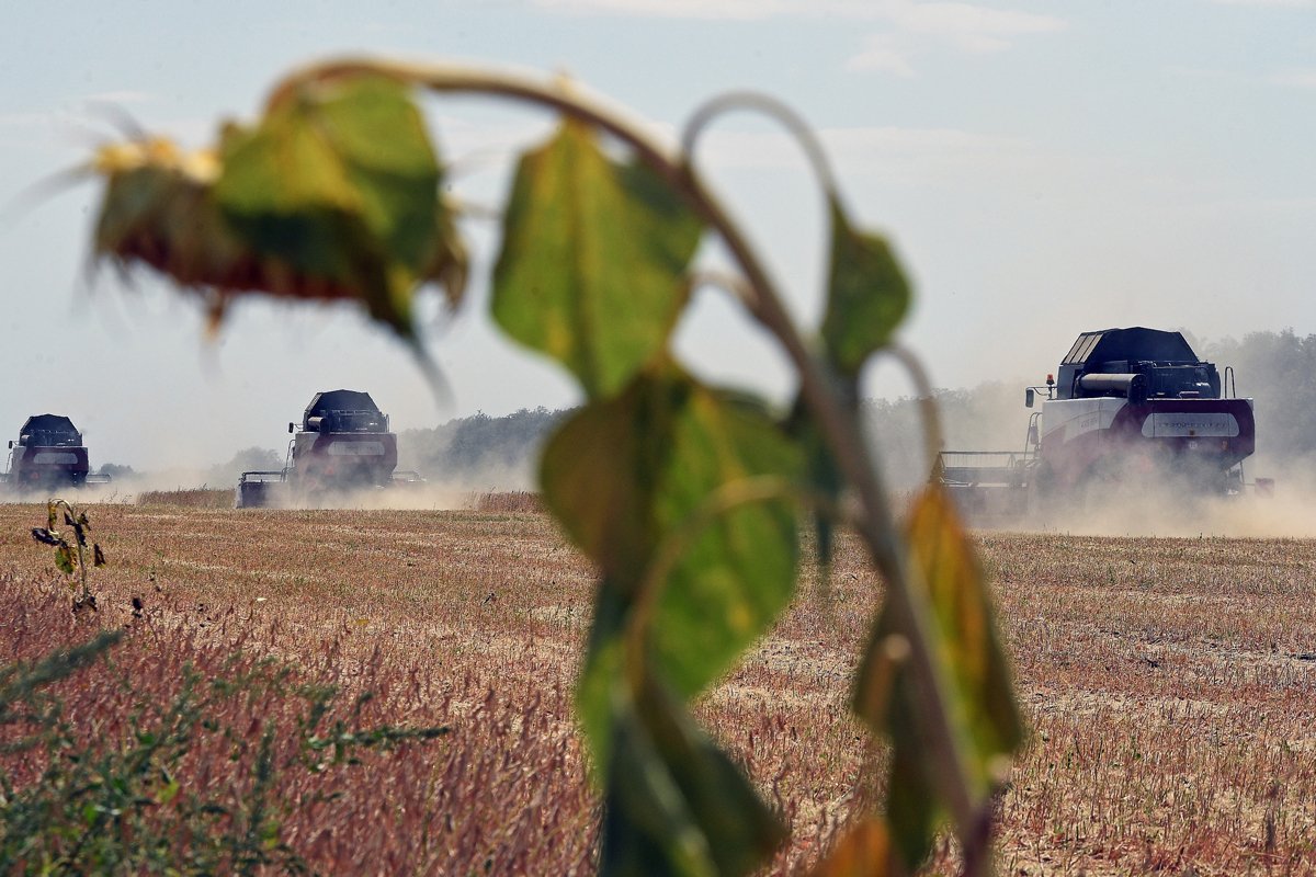 Сбор урожая зерновых в Краснодарском крае, 2017 год. Фото: Александр Миридонов / Коммерсантъ / Sipa USA / Vida Press