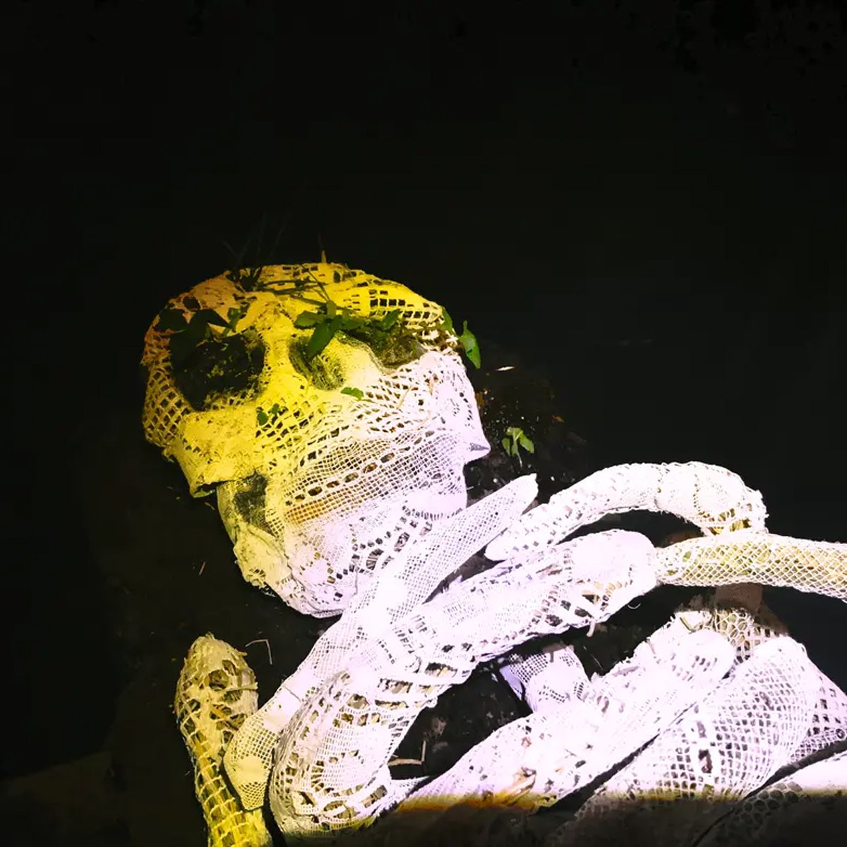 Фото: gonserovskaya.com