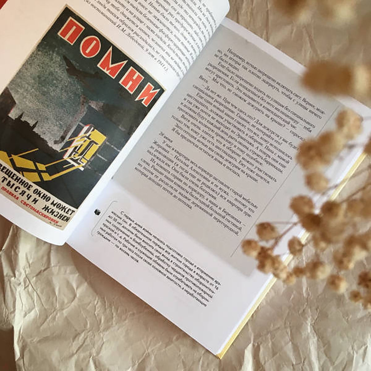 «Дневники Виктора и Нади». Фото:  labirint.ru