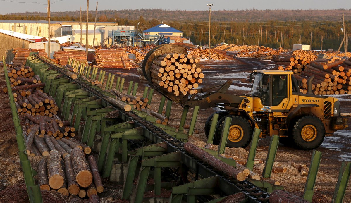 Линия сортировки на деревообрабатывающем заводе, экспортирующем древесину в Европу, Японию и Китай, посёлок Богучаны, Красноярский край, 22 марта 2016 года. Фото: Илья Наймушин / Reuters / Scanpix / LETA