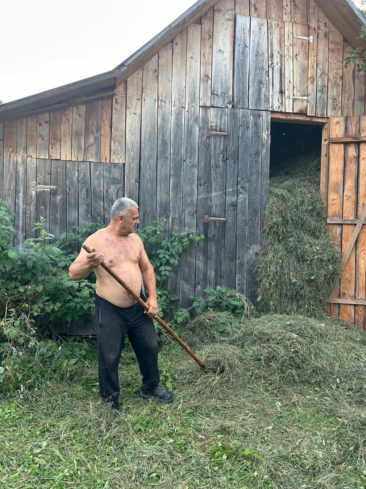 Михайло Кумлик закладывает сухое сено на хранение. Фото автора