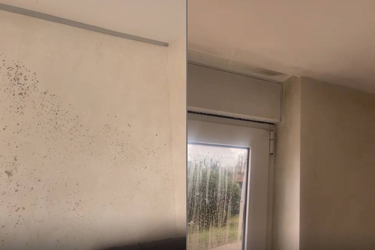 Грибок в доме Марины и Николая. Фото предоставлено героиней